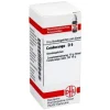 DHU Condurango D 6 Globuli, 10 g