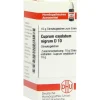 DHU Cuprum Oxyd nigrum D 10 Globuli, 10 g