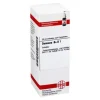 DHU Damiana Urtinktur, 20 ml