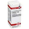 DHU Echinacea HAB C 30 Globuli, 10 g
