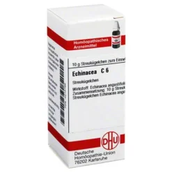 DHU Echinacea HAB C 6 Globuli, 10 g