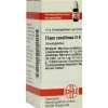 DHU Elaps corallinus D 8 Globuli, 10 g
