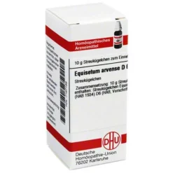 DHU Equisetum arvense D 6 Globuli, 10 g