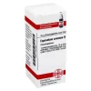 DHU Equisetum arvense D 12 Globuli, 10 g