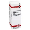 DHU Equisetum arvense Urtinktur, 20 ml