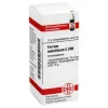 DHU Ferrum metallicum C 200 Globuli, 10 g