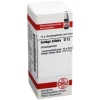 DHU Ginkgo biloba D 12 Globuli, 10 g