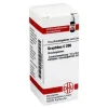 DHU Graphites C 200 Globuli, 10 g