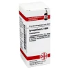 DHU Lycopodium C 1000 Globuli, 10 g