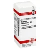 DHU Natrium sulfuricum C 6 Globuli, 10 g