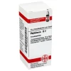 DHU Phytolacca D 2 Globuli, 10 g
