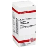 DHU Plumbum metallicum D 6 Tabletten, 80 St