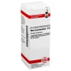 DHU Rhus toxicodendron D 30 Dilution, 20 ml