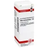DHU Rhus toxicodendron D 8 Dilution, 20 ml