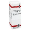 DHU Sambucus nigra D 3 Dilution, 20 ml