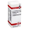 DHU Sambucus nigra D 30 Globuli, 10 g