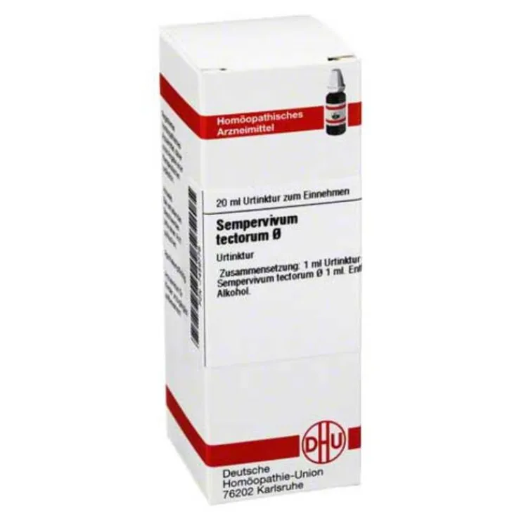 DHU Sempervivum tect. Urtinktur Dilution, 20 ml
