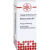 DHU Senecio Aureus D 6 Dilution, 20 ml