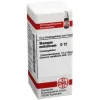 DHU Stannum metallicum D 12 Globuli, 10 g