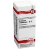 DHU Strontium carbonicum D 12 Globuli, 10 g