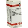 DHU Sulfur C 9 Globuli, 10 g