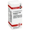 DHU Symphytum C 200 Globuli, 10 g