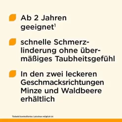 Dorithricin® Halstabletten Waldbeere bei Halsschmerzen, 20 St