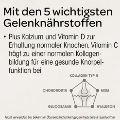 Dr. Böhm Knorpel & Knochen Tabletten, 120 St