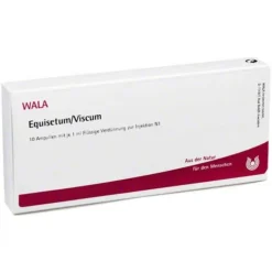 Equisetum / Viscum Ampullen, 10X1 ml