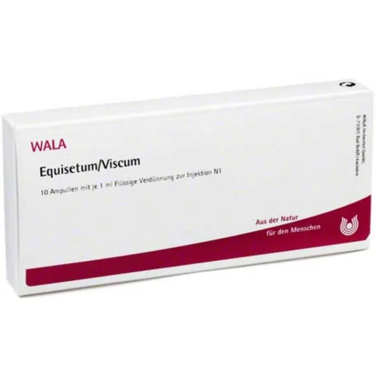 Equisetum / Viscum Ampullen, 10X1 ml