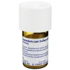 Equisetum cum Sulfure tostum D 6 Trituration, 20 g