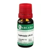 Euphrasia Arcana LM 6 Dilution, 10 ml