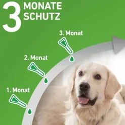 FRONTLINE COMBO® gegen Zecken, Flöhe bei Hunden M (10-20 kg), 3 St