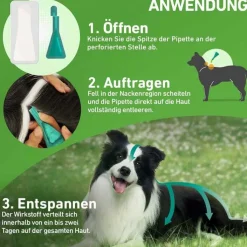 FRONTLINE COMBO® gegen Zecken, Flöhe bei Hunden S (2 -10 kg), 6 St
