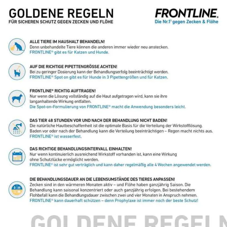 FRONTLINE@ SPOT ON Hund L Lösung, 6 St