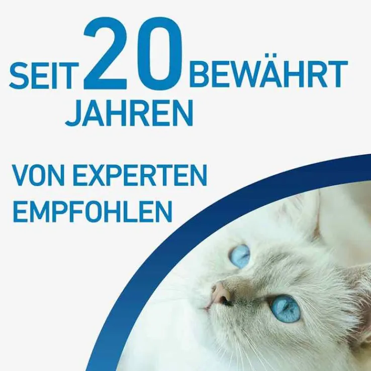 FRONTLINE® SPOT ON Katze , 6 St