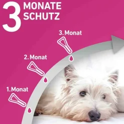 FRONTLINE TRI-ACT® gegen Zecke, Floh und fliegende Insekten bei Hunden (10-20kg), 3 St