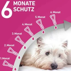 FRONTLINE TRI-ACT® gegen Zecke, Floh und fliegende Insekten bei Hunden (40-60kg), 6 St