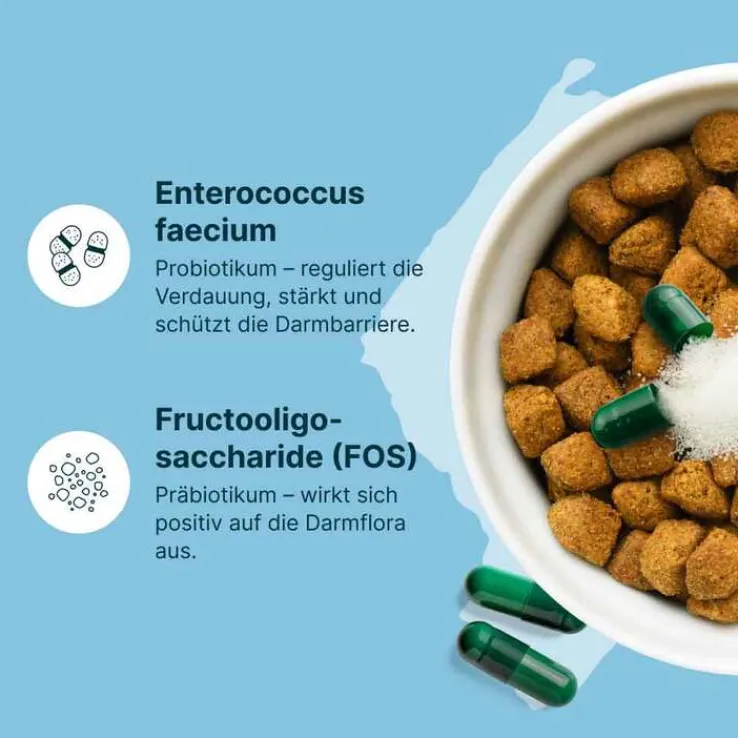Gasteel Diät-Ergänzungsfuttermittel Kapseln für Hunde / Katzen, 50 St