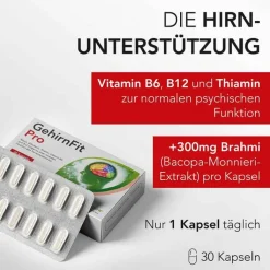 Gehirnfit Pro Kapseln, 30 St