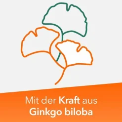Ginkobil ratiopharm 120mg mit Ginkgo biloba, 120 St