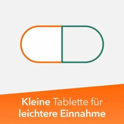 Ginkobil ratiopharm 120mg mit Ginkgo biloba, 120 St