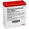 Glandula Suprarenalis suis Injeel Ampullen, 10 St
