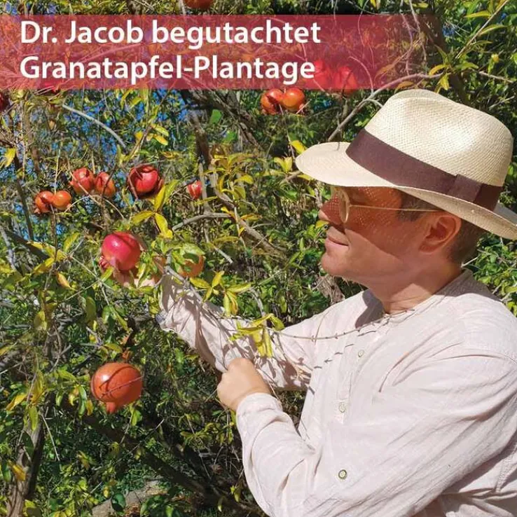 Granatapfel Elixier Dr. Jacob`s, 500 ml