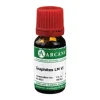 Graphites Arcana LM 6 Dilution, 10 ml