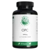 Green Naturals OPC 1000mg aus Traubenkern-Extr.Kps, 180 St