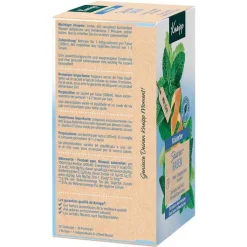 Kneipp Kräutertee Säuren-Basen Filterbeutel, 20 St