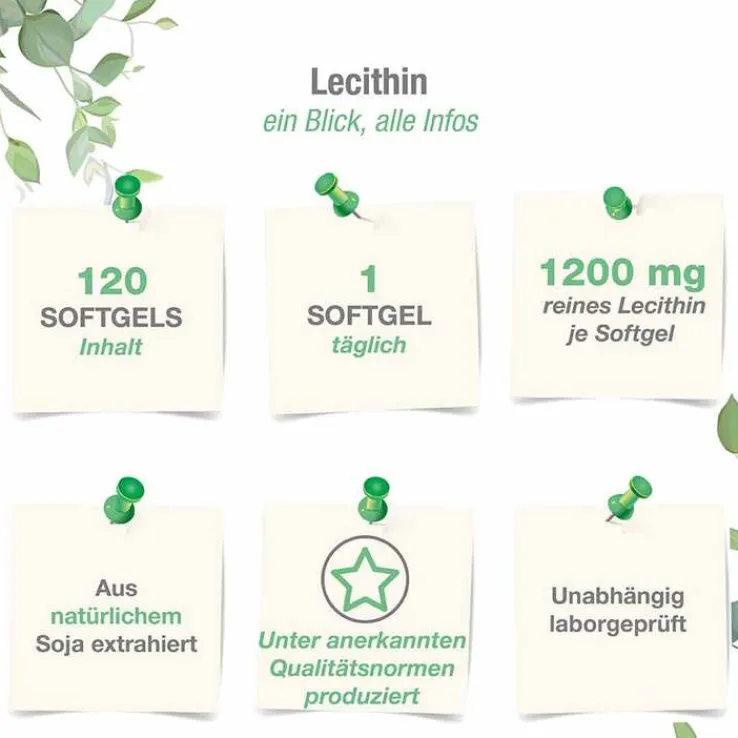 Lecithin 1200 mg Sojalecithin + Vitamin E vegan Weichk., 120 St