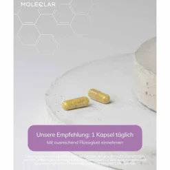 Moleqlar Berberine Mineral-Complex Kapseln, 60 St