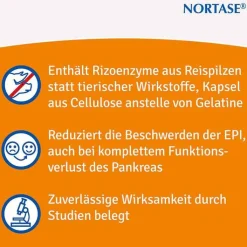 NORTASE Kapseln vegetarische Verdauungsenzyme, 100 St
